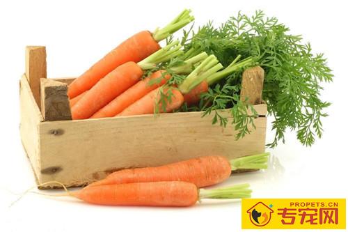 松狮泪痕如何清除，松狮幼犬泪痕会消退吗